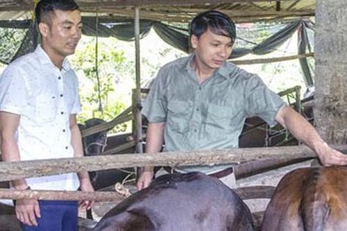 Anh nông dân 'phát tài' nhờ nuôi con 'siêu to khổng lồ', 50 triệu đồng/con
