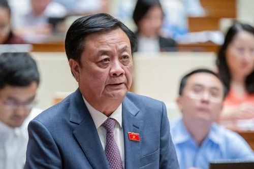 Bò sữa chết sau khi tiêm vắc-xin: Bài học với ngành chăn nuôi