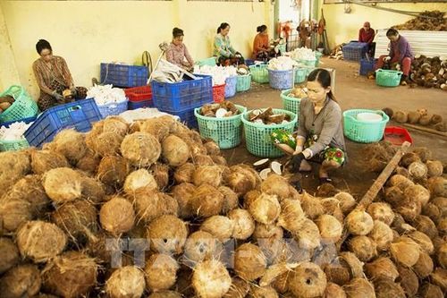 Bến Tre nhân rộng mô hình hợp tác xã kiểu mới hiệu quả