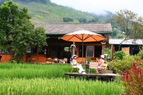 Đi cà phê... ngắm lúa