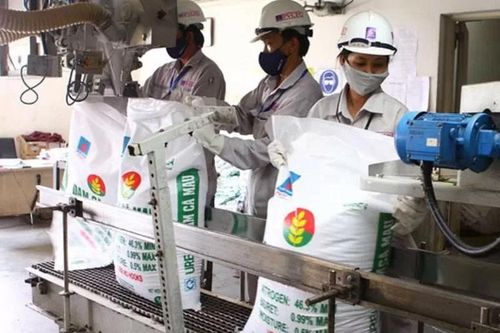 Xuất khẩu phân bón của Việt Nam thu về hơn 420 triệu USD