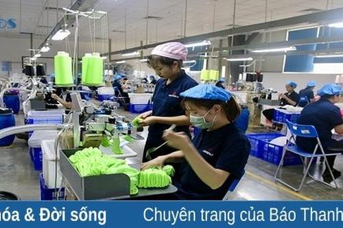 Nhiều giải pháp tạo việc làm mới cho lao động