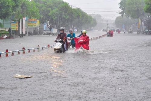 Dự báo nhiệt độ trong mùa mưa bão cao hơn mức trung bình nhiều năm