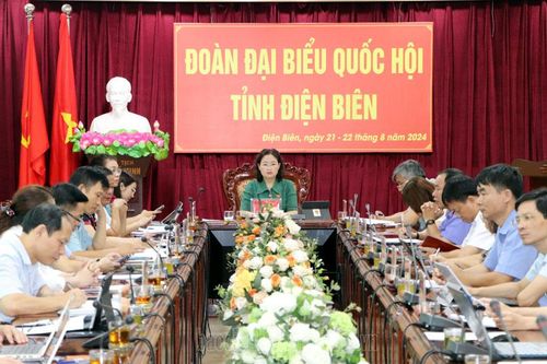 Đại biểu Quốc hội tỉnh Điện Biên chất vấn Tổng Thanh tra Chính phủ về tiếp công dân, khiếu nại tố cáo