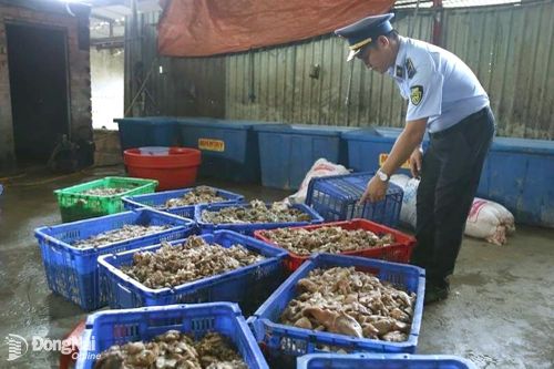 Xử phạt 35 triệu đồng chủ hộ kinh doanh gần 4 tấn thịt hôi thối tại Biên Hòa