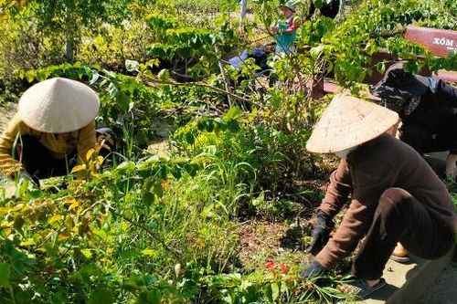 Thôn Thịnh Long - điểm sáng trong Phong trào xây dựng Nông thôn mới