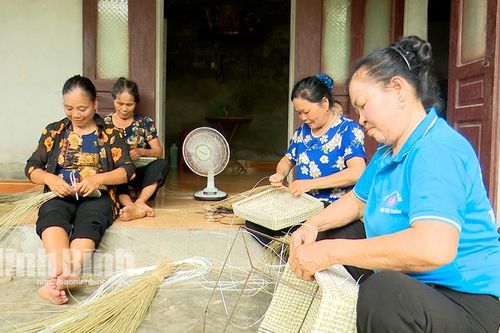 Cải thiện chất lượng cuộc sống cho người cao tuổi