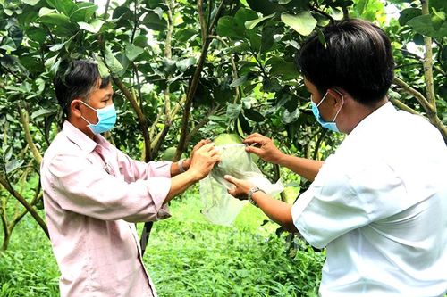 Nhiều hoạt động hỗ trợ hợp tác xã nâng cao năng lực cạnh tranh