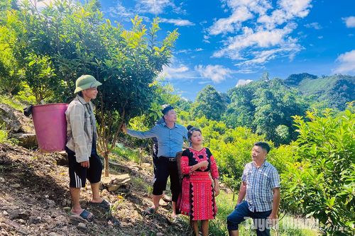 Đất cằn 'nở hoa'