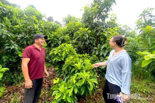Nâng phụ cấp - Nâng trách nhiệm