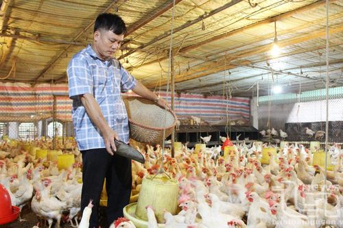 Trung Thành khai thác lợi thế để phát triển