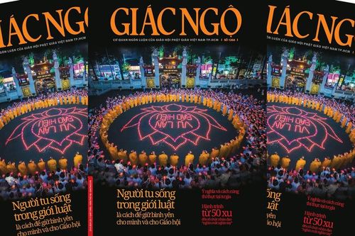 'Người tu sống trong giới luật là cách để giữ bình yên cho mình và cho Giáo hội'