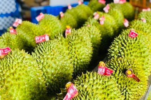 Bộ trưởng Bộ NN&PTNT: Phải đưa sầu riêng thành sản phẩm quốc gia