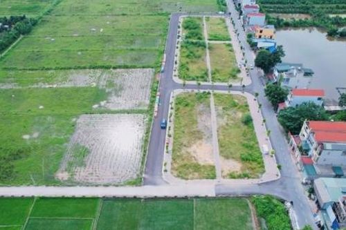 Xử lý nghiêm hành vi lợi dụng đấu giá đất gây nhiễu loạn thị trường