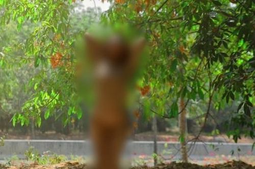 Cơ quan chức năng làm việc với người chụp ảnh khỏa thân trên đường ở Bình Dương