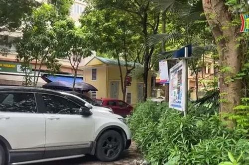 Lộn xộn ở vườn hoa Đoàn Thị Điểm