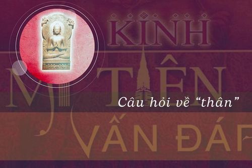 Mối liên hệ thân trước và thân sau như thế nào?