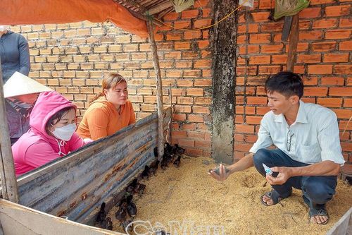 Đào tạo nghề phù hợp đối tượng