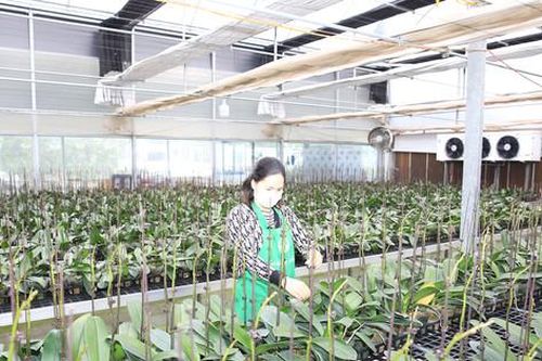 Hà Nội đưa công nghệ số vào sản xuất nông nghiệp