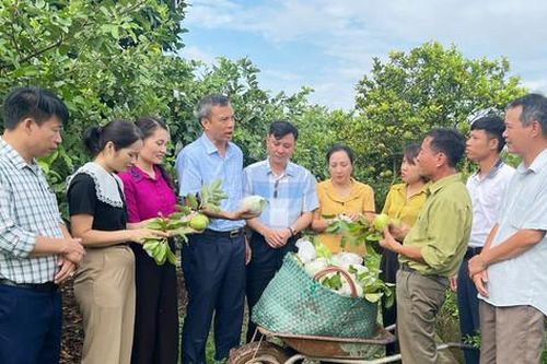 Hoài Đức nhân rộng những mô hình sản xuất hiệu quả