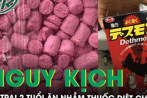 Bé trai 2 tuổi nguy kịch do ăn nhầm thuốc diệt chuột vì tưởng là kẹo