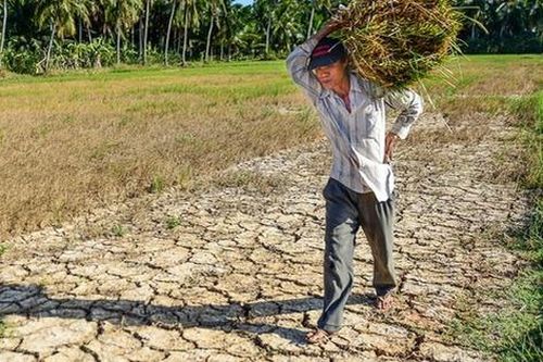 Bộ trưởng Lê Minh Hoan nêu loạt giải pháp để thích ứng với hạn hán, sạt lở, xâm nhập mặn tại ĐBSCL
