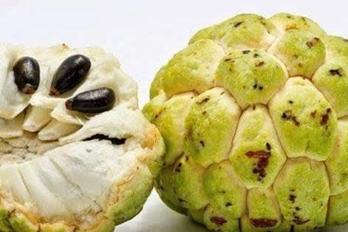 Hải Phòng: Bỏng giác mạc do gội đầu bằng nước hạt na