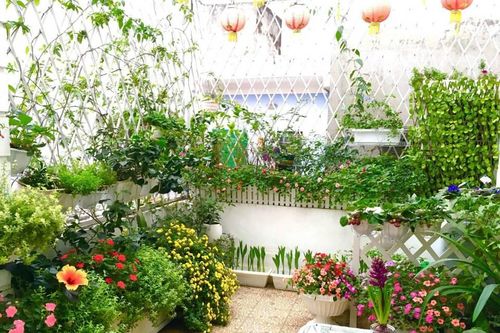 6 mẹo tạo khu vườn nhỏ, xanh mát giữa lòng đô thị chật hẹp