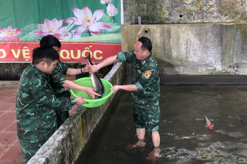 Nhiều mô hình tăng gia, sản xuất hiệu quả của Bộ đội Biên phòng