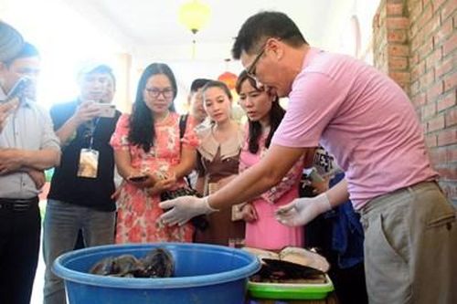 Người 'bắt' trai đầm nhả ngọc
