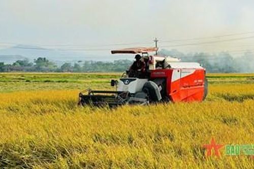 Quảng Bình được mùa vụ Hè Thu