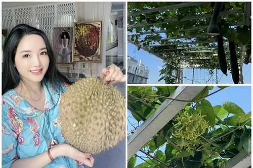 Cận cảnh biệt thự xa hoa ngập rau xanh của Hoa hậu Giáng My