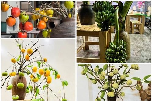 5 cành quả cắm bình đang 'làm mưa làm gió' trên thị trường