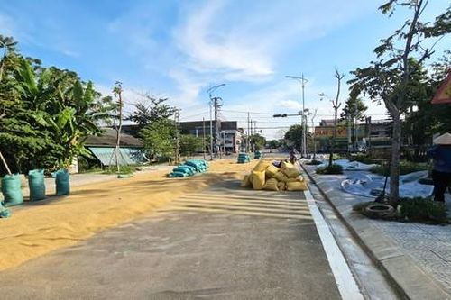 Đường hàng chục tỷ đồng làm xong chỉ để… phơi lúa