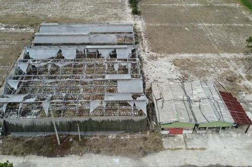 'Khai tử' dự án nông nghiệp công nghệ cao hơn 300 tỷ ở Hà Tĩnh