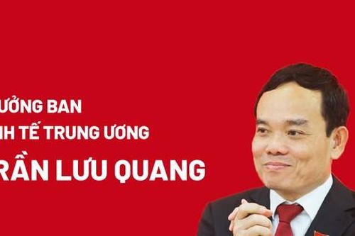 Chân dung Trưởng Ban Kinh tế Trung ương Trần Lưu Quang