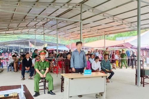 Lĩnh án 12 tháng tù vì hủy hoại rừng