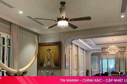 Quạt trần đèn - lựa chọn hoàn hảo tô điểm không gian sống