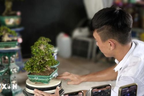 Ứng dụng các mạng xã hội để tiêu thụ nông sản ở Bến Tre