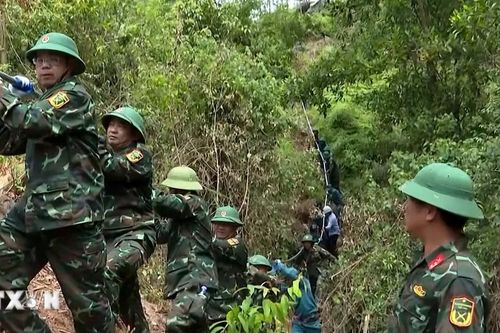 Lực lượng vũ trang Nghệ An cùng ngành điện đưa dự án 500 kV mạch 3 về đích