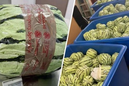 Mỹ thu giữ 2.000kg ma túy đá ngụy trang thành dưa hấu