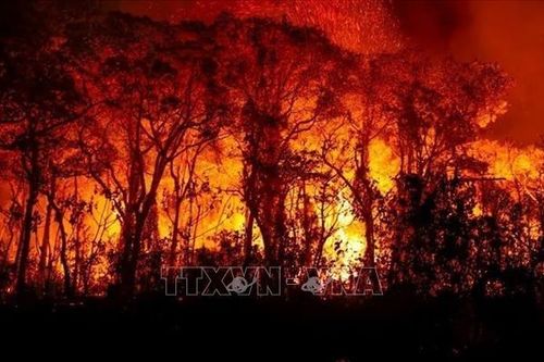 Bồ Đào Nha kêu gọi EU hỗ trợ đối phó cháy rừng trên đảo Madeira