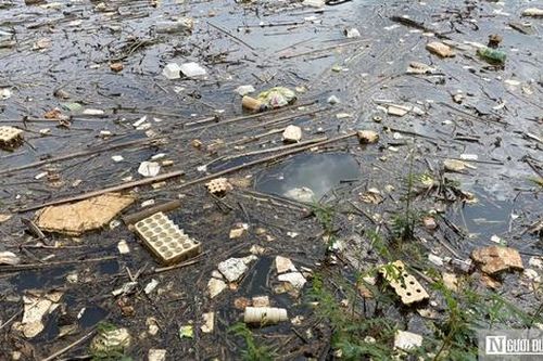 Rác thải bủa vây Nhà máy cấp nước Đà Lạt