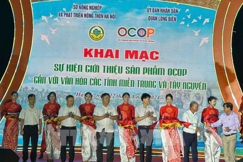 Kết nối giao thương sản phẩm OCOP