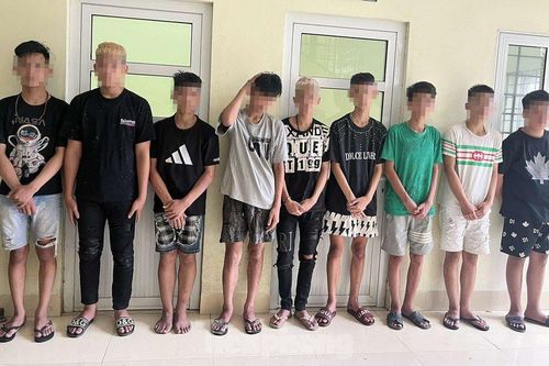Nhóm thanh thiếu niên có sở thích quái đản 'cướp biển số xe'