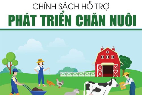 Chính sách hỗ trợ phát triển chăn nuôi