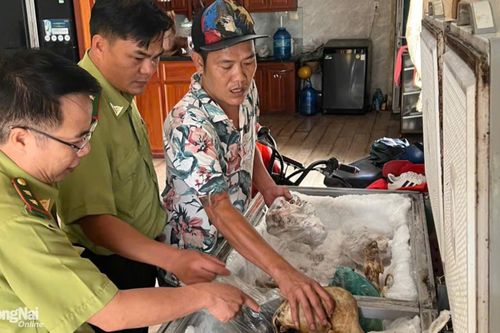Một người ở Biên Hòa bị xử phạt hơn 43 triệu đồng vì hành vi nhốt và tàng trữ động vật rừng trái phép
