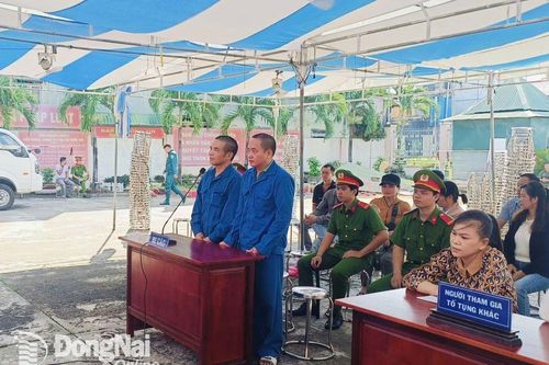 Lừa bán đá thiên thạch giả giá 2,4 ngàn tỷ đồng, 2 bị cáo ở Tân Phú lãnh án nặng