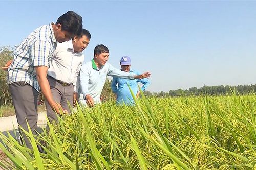 Phát triển nông nghiệp, nông thôn gắn với giảm nghèo bền vững