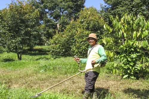 Vượt khó với mô hình trồng cây ăn quả kết hợp vườn rừng